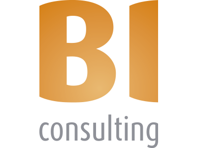 BI Consulting